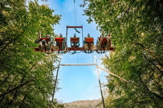 ‘Skyride’ Giant Swing in Betws y Coed, listing photo