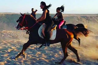 Horse and Quad Safari in Sharm El Sheikh, listing photo