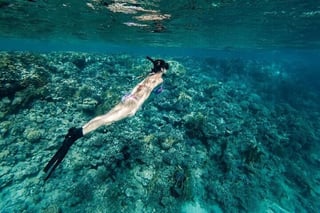 Ras Mohamed Snorkel and Dive in Sharm El Sheikh, listing photo