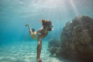 Coral Gardens Snorkel in Marsa Alam, listing photo