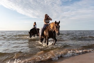 Sun and Sea Horse Ride in Hurghada, listing photo