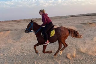 Desert Horse Ride in Sharm El Sheikh, listing photo