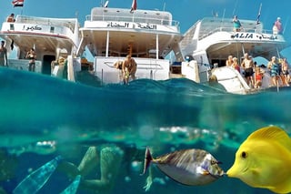 Marsa Mubarak Snorkel in Marsa Alam, listing photo