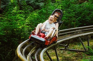 ‘Forest Coaster’ Alpine Coaster in Betws y Coed, listing photo