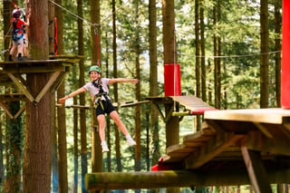 ‘Tree Hoppers’ Kids Zip Course in Betws y Coed, listing photo
