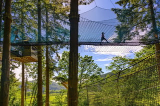 ‘Treetop Nets’ Bouncy Treetop Adventure in Betws y Coed, listing photo