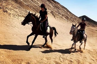 Desert Horse Riding in Marsa Alam, listing photo