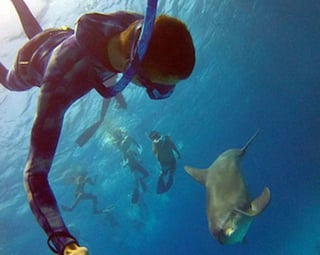 Blue Trip Snorkelling in Hurghada, listing photo
