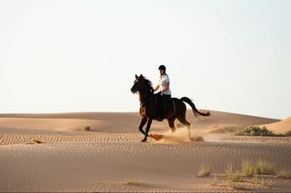 Horse Ride and Lunch in Agadir, listing photo