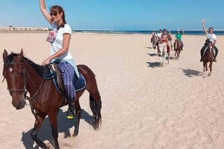 Swimming by Horse: 3 Hours on Beach and Desert with Transfer in Hurghada, listing photo