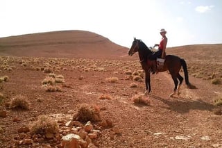 Discover Forests and Rivers: 2 Hours Horseback Riding in Agadir, listing photo