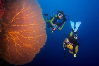 Scuba Diving Boat Trip for Certified Divers – 2 Stops with Lunch in Hurghada, listing photo