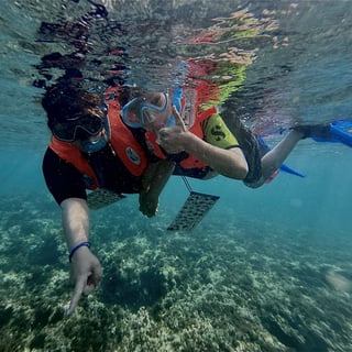 Snorkel Tour in Cabo de Palos, listing photo