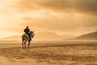 2 Hour Horse Riding in the Amazing Desert and Transfer in Marsa Alam, listing photo