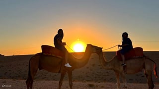 Desert Camel Ride in Agafay, listing photo