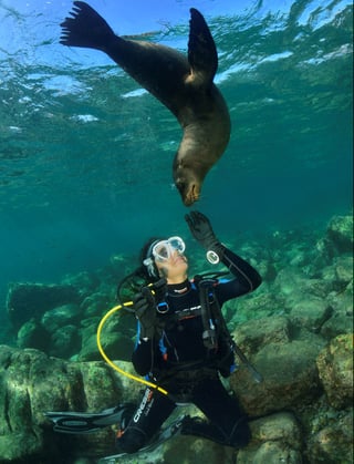 Seasonal Dive Travel in Cabo de Palos, listing photo