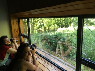 Birdwatching Hike in Cabezabellosa, listing photo