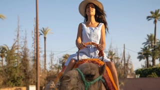 Palmeraie Camel Ride in Marrakech, listing photo