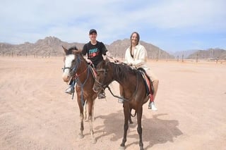 Horse Riding: 2 Hours Sea and Desert with Transfer in Hurghada, listing photo