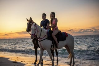 2 Hour Horse Ride at Nabq Bay Beach with Transfer in Sharm El Sheikh, listing photo
