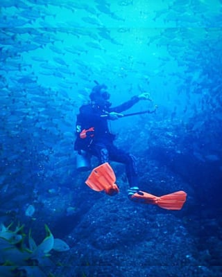 Guided Daily Dive in Cabo de Palos, listing photo