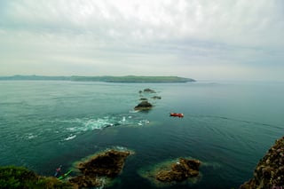 Fishguard Bay and Strumble Head Boat Trip in Pembrokeshire, listing photo
