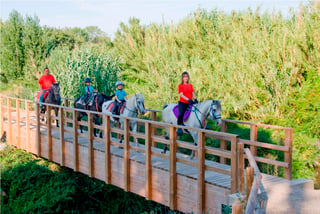 Guided Horse Riding near Tarazona and Moncayo, listing photo