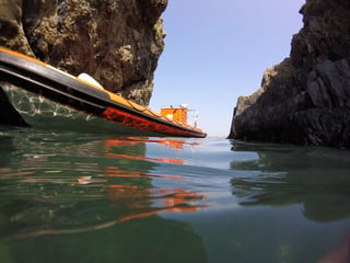 Ramsey Island Boat Trip in Pembrokeshire, listing photo