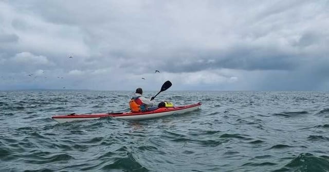 Einführung ins Seekajakfahren und Seekajakfahren für Fortgeschrittene in Torquay