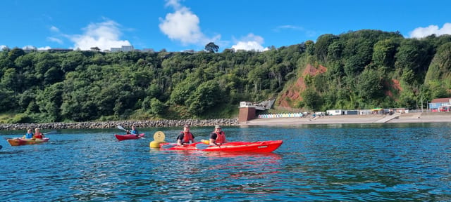 Wildlife Bushcraft and Sea Cave Safari in Torquay