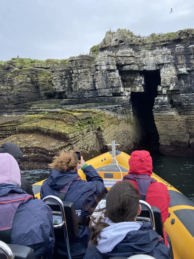 Puffin Island RIB Tour in Beaumaris