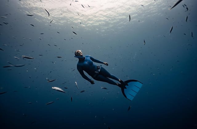 Open Water Freediver FREe-Learning Course
