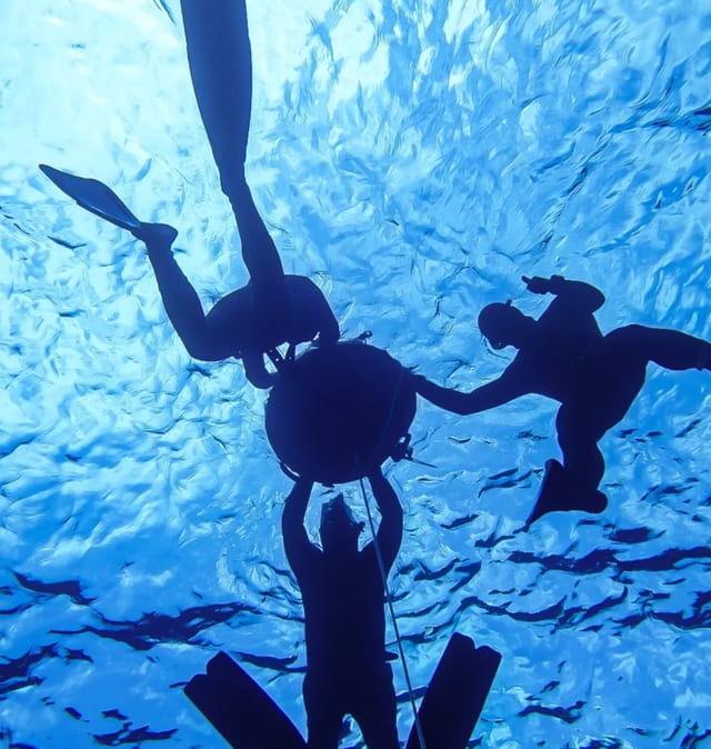 Freedive Exploration in Shetland, Scotland