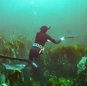 Spearfishing and Foraging Session in Shetland, Scotland