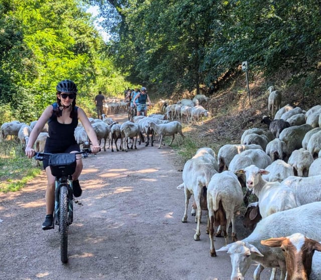 Bike & E-Bike Rental in Appia Antica, Rome