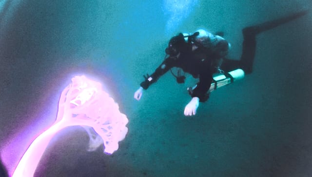 Tec 45: Advanced Decompression Diving Programme