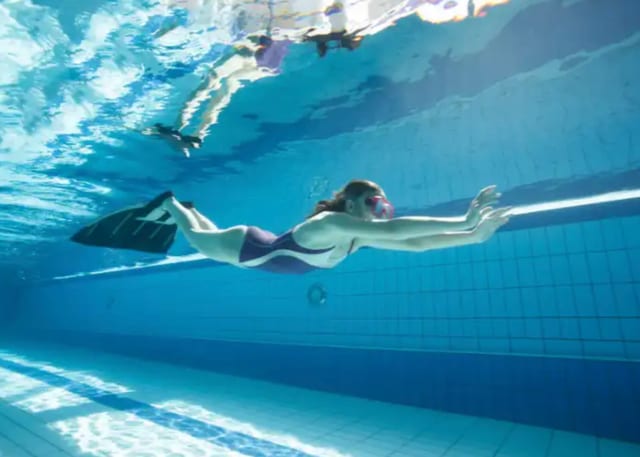 PADI Basic Freediver Course (Confined Water Training)