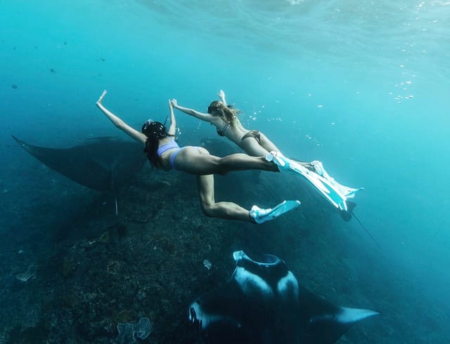Premium Nusa Penida Private Yacht & Manta Ray Snorkelling Experience from Bali