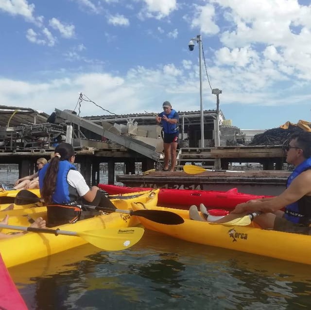 Pet Friendly Kayak Route, Sapinya Island Ebro Delta