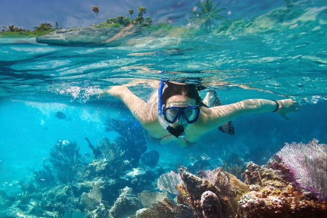 Snorkelling Experience in Unawatuna Bay – Guided Reef Tour