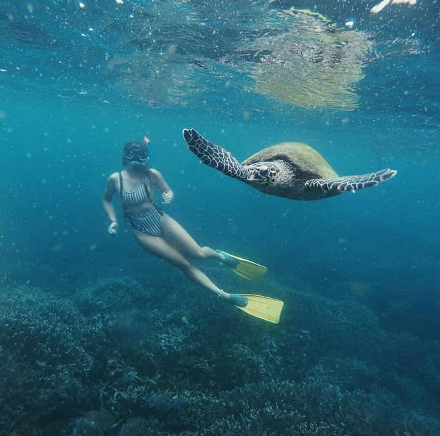 Private Turtle Snorkelling Experience in Mirissa