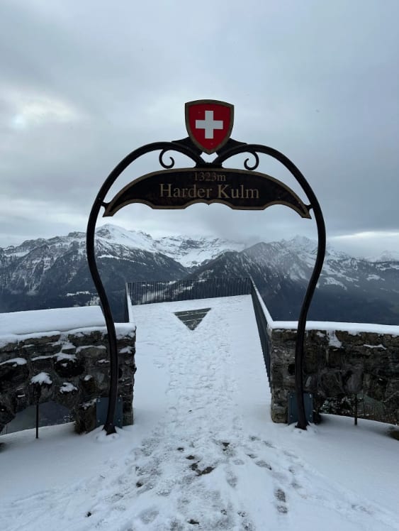 Private Interlaken Winter Harder Kulm Hike with Ultra Runner