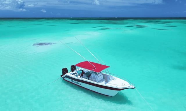 Private Full-Day Boat Trip to Isla Saona from Bayahibe