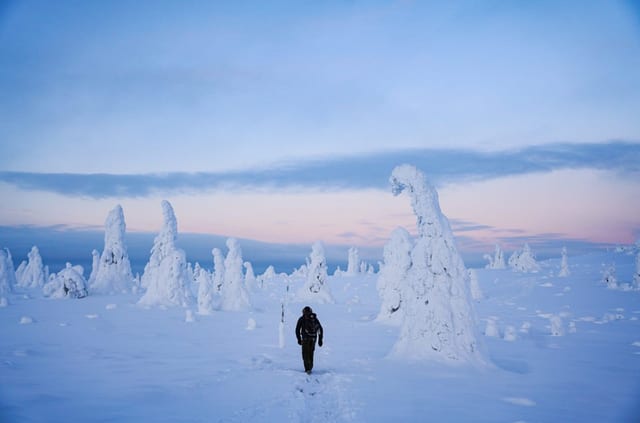 Arctic Adventure through Magical Frozen Forests of Riisitunturi