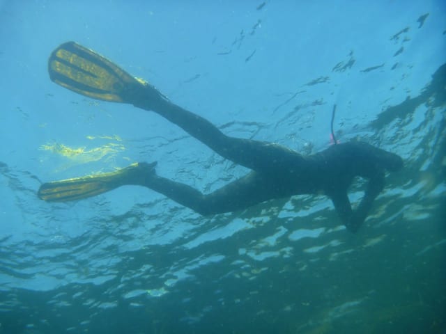 Adventure Snorkelling and Freediving in Benbecula