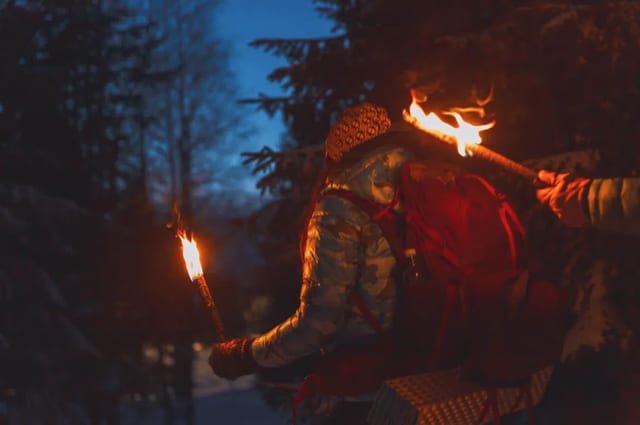 Oslo Winter Torchlight Walking Adventure