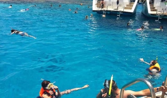 Ras Mohamed National Park and White Island Snorkelling Boat Trip