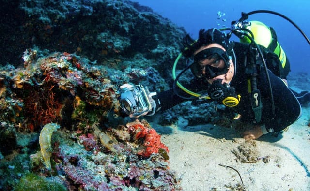 Advanced Open Water Diver Course in Santa Ponça, Mallorca