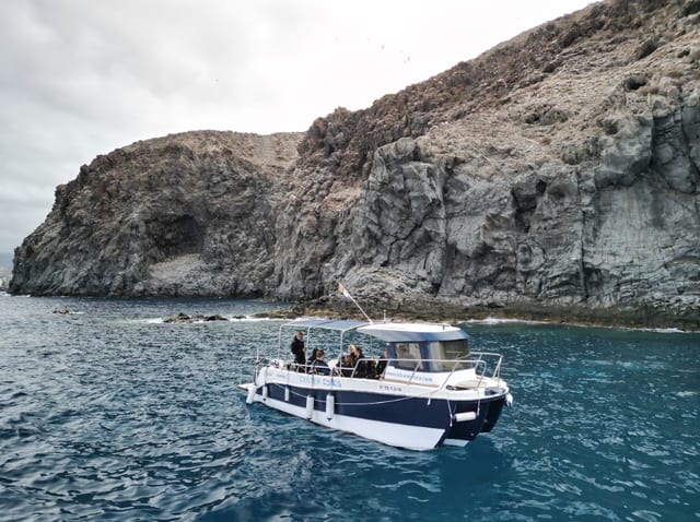 Boat Diving in Tenerife