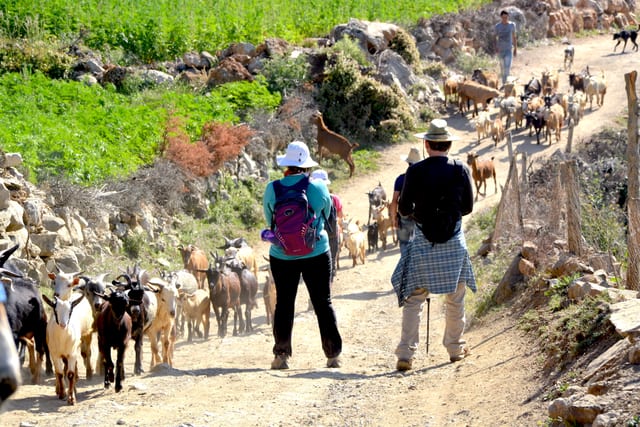 Talassemtane National Park Trek from Tangier